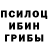 Галлюциногенные грибы Psilocybe Balnur Esen