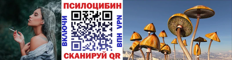 Галлюциногенные грибы Psilocybine cubensis  ссылка на мегу ссылки  Тутаев 